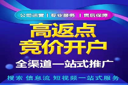 推广信息流在电商行业的应用案例分析